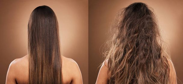 Догляд за волоссям, краса і спина жінки в студії з блискучою, чистою і брудною брудною зачіскою. Здоров'я, догляд за собою і модель з вузлами перед кератином, бразильським або ботокс волоссям лікування на коричневому фоні
. - Фото, зображення