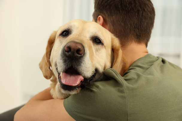 Man hugging his cute Labrador Retriever at home, back view - Fotografie, Obrázek
