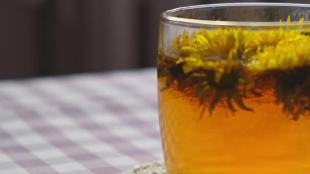 Gyermekláncfű virág egészséges tea üveg teáskanna és üveg csésze az asztalon. Ízletes gyógynövény tea ömlött friss pitypang virágok otthon nyári napon, közel a kerthez. Zöld tisztás Forró pitypang tea a - Felvétel, videó