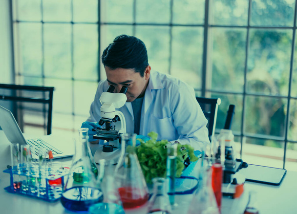 Laboratory technician prepares compound solutions and media for analyzing veggie samples. Using a microscope, visualize and assess germination, contamination percentages. Record report into database. - Foto, immagini