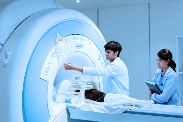 Veterinarian doctor working in MRI scanner room - Photo, Image