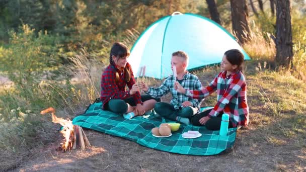 Iloinen kahden tytön seurue ja poika piknikillä keskellä metsää. Lapset paistavat makkaroita tulessa, syövät pullia ja pitävät hauskaa luonnossa. Aktiivisen virkistyksen käsite kesällä - Materiaali, video