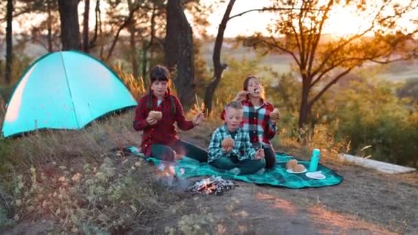 Une joyeuse compagnie de deux filles et d'un garçon lors d'un pique-nique au milieu de la forêt. Les enfants font frire des saucisses sur le feu, mangent des petits pains et s'amusent dans la nature. Le concept de loisirs actifs en été - Séquence, vidéo