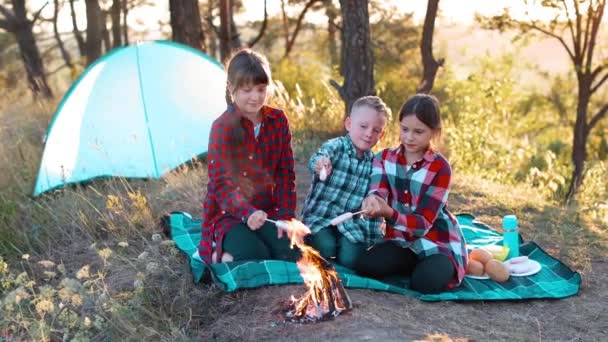 Una allegra compagnia di due ragazze e un ragazzo in un picnic in mezzo alla foresta. I bambini friggono salsicce sul fuoco, mangiano focacce e si divertono nella natura. Il concetto di ricreazione attiva in estate - Filmati, video