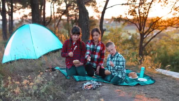 Μια χαρούμενη παρέα δύο κοριτσιών και ενός αγοριού σε ένα πικνίκ στη μέση του δάσους. Τα παιδιά τηγανίζουν λουκάνικα στη φωτιά, τρώνε ψωμάκια και διασκεδάζουν στη φύση. Η έννοια της ενεργού αναψυχής το καλοκαίρι - Πλάνα, βίντεο