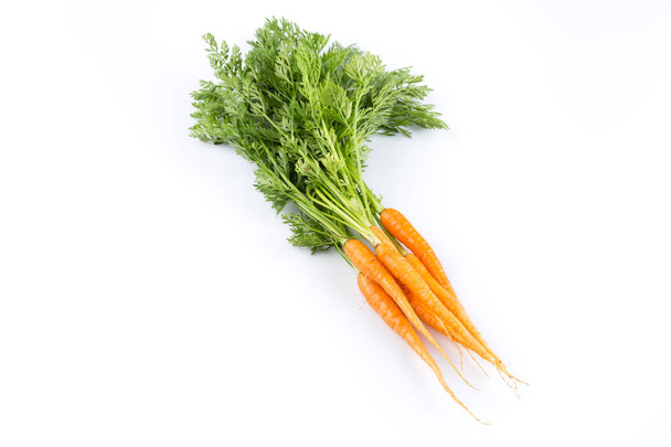 fresh carrots with green leaves isolated on white background. vegetable. food - Foto, immagini