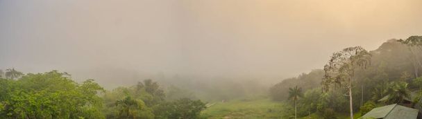 Foggu auringonnousu Javari-joella, Amazon-joen sivujoki, Amazonia. Selva Brasilian ja Perun rajalla. Etelä-Amerikka. - Valokuva, kuva