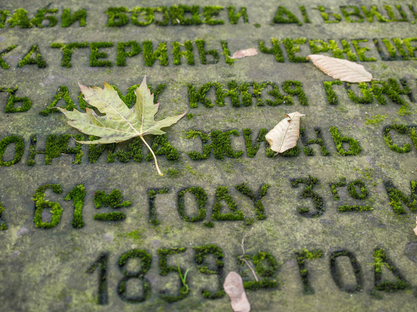 Осенний лист на надгробии с текстом на кириллице - Фото, изображение
