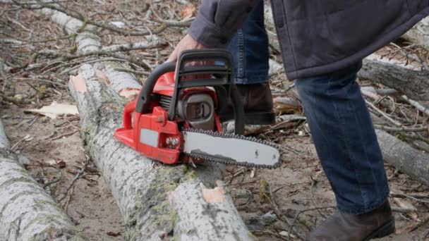 薪を見て老人は鎖でつないだ木を切り株に切り - 映像、動画