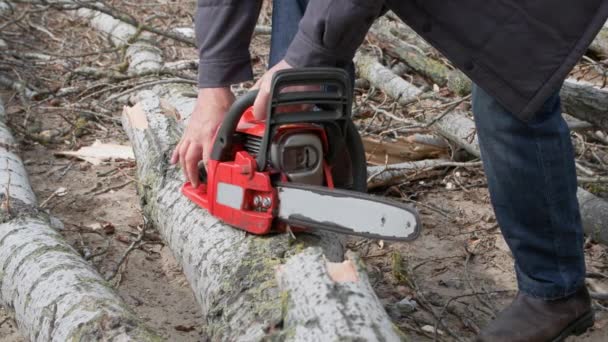 ルムバージャック老人は鎖でつないだ木を切り株に切り - 映像、動画