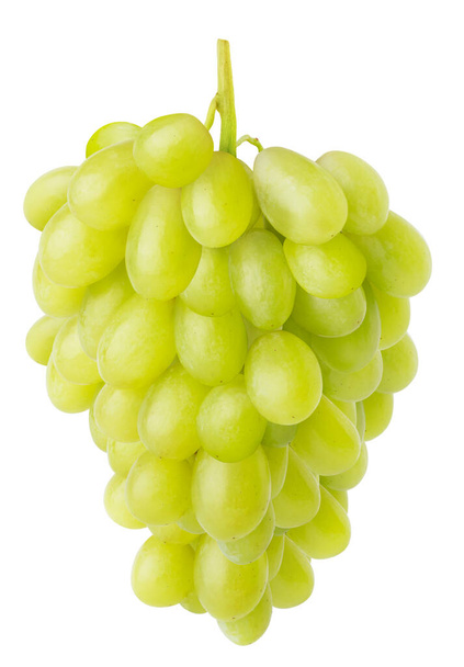 Isolated grapes. Claster of Thompson table white grapes hanging on a stem isolated on white background - Photo, Image