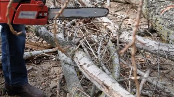 пожилой лесоруб держит бензопилу в руках и разрезает дерево на пни, стоя на улице - Кадры, видео