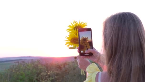Женщина фотографирует подсолнухи на закате со смартфоном. Закат на поле. - Кадры, видео