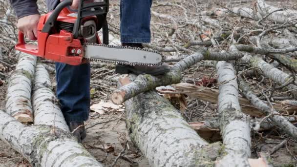 チェーンソーを使っている老人が薪の木を割ったり閉じたり - 映像、動画