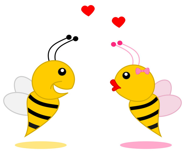 Male bee that found his partner - Vector, Image