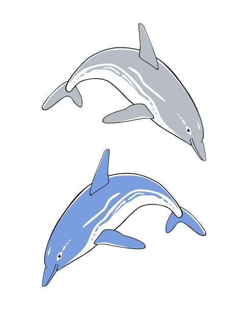 Niedliche springende Delfine - Vektor, Bild