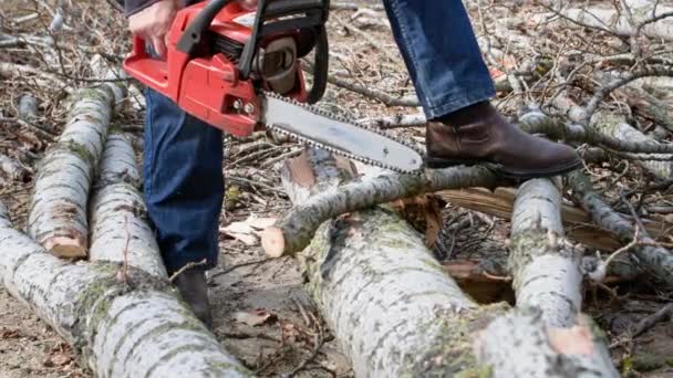 пожилой дровосек с помощью бензопилы режет дерево для дров в открытом небе, крупным планом - Кадры, видео