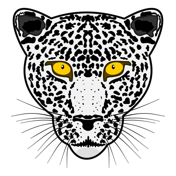 Fej leopárd - Vektor, kép