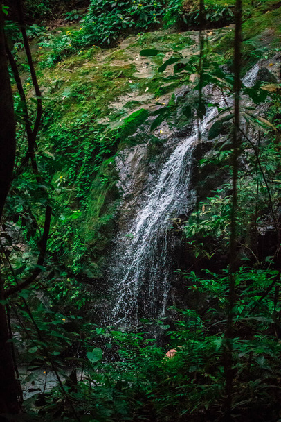 Primer plano de una pequeña cascada en la selva tropical de Costa Rica. Foto de alta calidad - Foto, Imagen