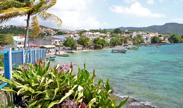 Näkymä Ste-Luce, Martinique Island - Ranska - Valokuva, kuva