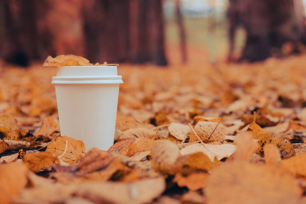 Эко-ноль тратит бумажные стаканчики на макет места для копирования. Осенние листья и чашка чая кофе, чтобы пойти рядом с осенней природой. Объединиться с природой cottagecore - Фото, изображение