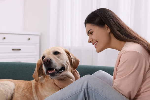 Happy woman with cute Labrador Retriever on sofa at home - Photo, image
