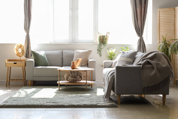 Interiér světlého obývacího pokoje s pohovkami, pokojovými rostlinami a stolem - Fotografie, Obrázek
