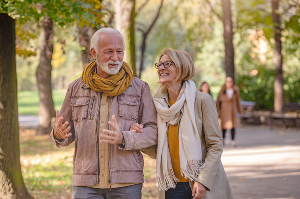 senior couple walking in autumn park - Фото, зображення
