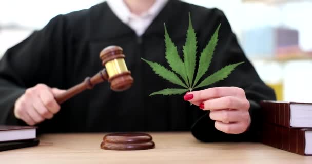 Tuomari vihreä marihuanan lehti käsissä koputtaa nuijalla oikeussalissa lähikuva 4k elokuva hidastettuna. Huumeiden hallussapitoa ja myyntiä koskeva rikosasia - Materiaali, video