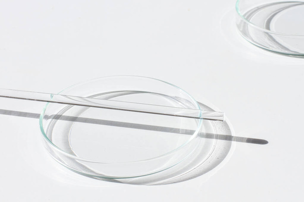 Empty Petri dish. On a white background. Bright sunlight. Deep shadows. Contrast. Laboratory. Petri dishes. - Фото, изображение