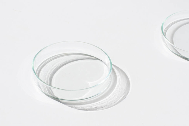 Empty Petri dish. On a white background. Bright sunlight. Deep shadows. Contrast. Laboratory. Petri dishes. - Fotó, kép