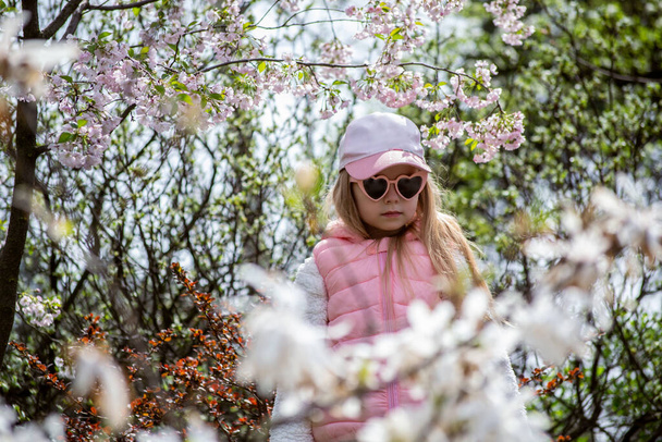 beautiful little girl with a pink cherry blossom flowers - 写真・画像