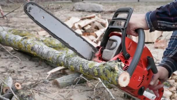 starší dřevorubec, používající řetězovou pilu, řeže klády do dřeva na podpal venku, zblízka - Záběry, video