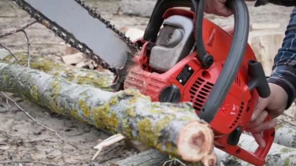 пожилой человек использует бензопилу, чтобы срубить дерево для дров задний план бревна, крупным планом - Кадры, видео