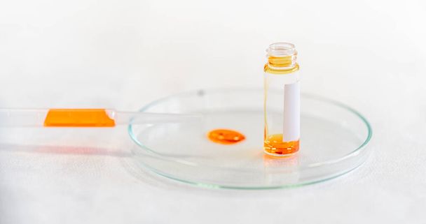 chemical sample in a research laboratory on a glass dish. - Φωτογραφία, εικόνα