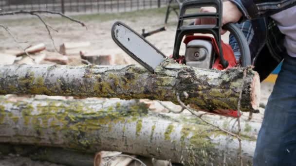 starý dřevorubec drží v rukou motorovou pilu a piluje strom na pařezy pod širým nebem, zblízka - Záběry, video