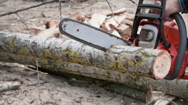 řezané dřevo na podpal, starší dřevorubec s motorovou pilou rozřezává kládu na pahýly na ulicích, detailní záběr - Záběry, video