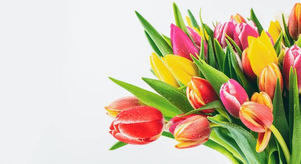 Buquê de flores coloridas tulipa no fundo branco com copyspace. - Foto, Imagem