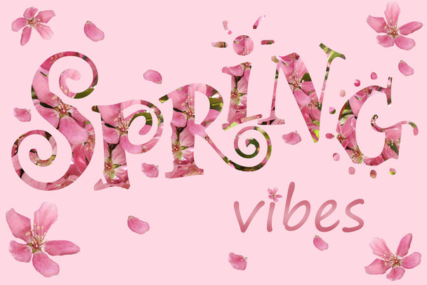 Spring vibes background with creative inscription cutted out of pink blossom photo pattern  - Foto, imagen