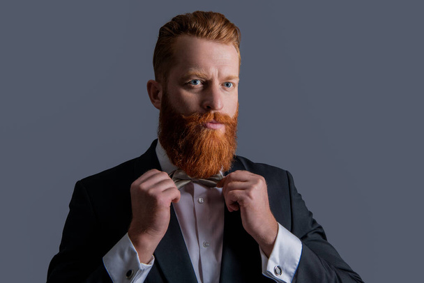 Elegant gentleman fixing bowtie. Portrait of handsome gentleman studio. Redhead gentleman with beard. Irish man isolated on grey. - Фото, зображення
