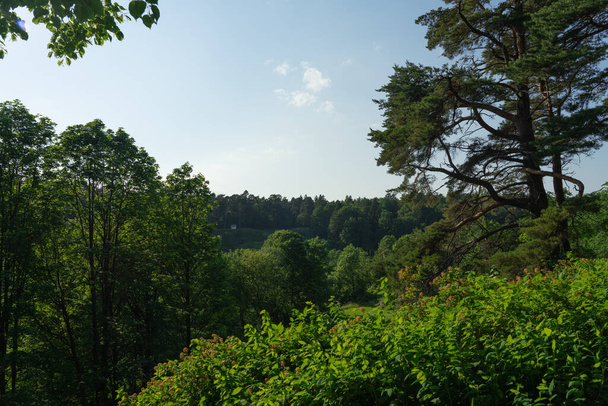 Landschap van gemengd bos op een heuvel. Een zonnige zomerdag. Toila Oru Park, Estland. - Foto, afbeelding