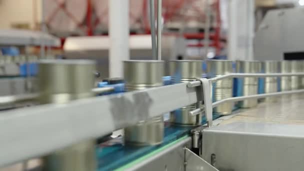 Latas de salsa de tomate en una cinta transportadora rápida en una planta de producción de alimentos enlatados - Imágenes, Vídeo