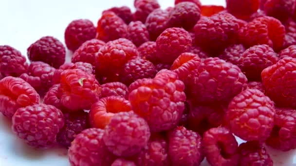 熟したジューシーな大きなラズベリーの赤い果実は白いテーブルに散在しています。ビタミンデザート。軽食のためのベリー - 映像、動画