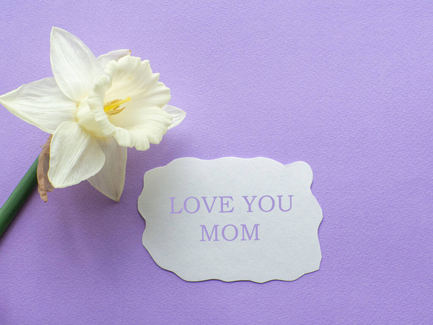 Daffodils flower and card with Love you mom on lilac background. Mothers Day greeting card. Sheet of paper with text and narcissus on purple background. Congratulations note flat lay. - Photo, Image