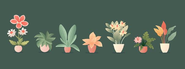 Colorful houseplant in pot seamless set. Vector endless set with cute plant in flowerpot. Background with house plants in hand-drawn style. - Vector, Image