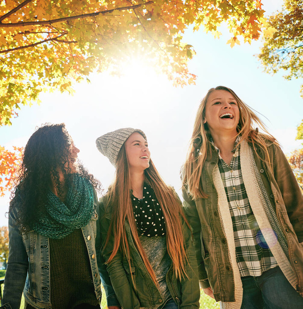 Es una cosa mejor. un grupo de jóvenes amigos disfrutando de un día en el parque juntos - Foto, Imagen