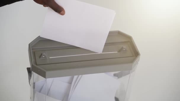 mão do americano africano deixa cair a cédula na caixa de eleição política - Filmagem, Vídeo