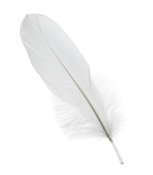 Beautiful white bird feather isolated on white - Fotó, kép