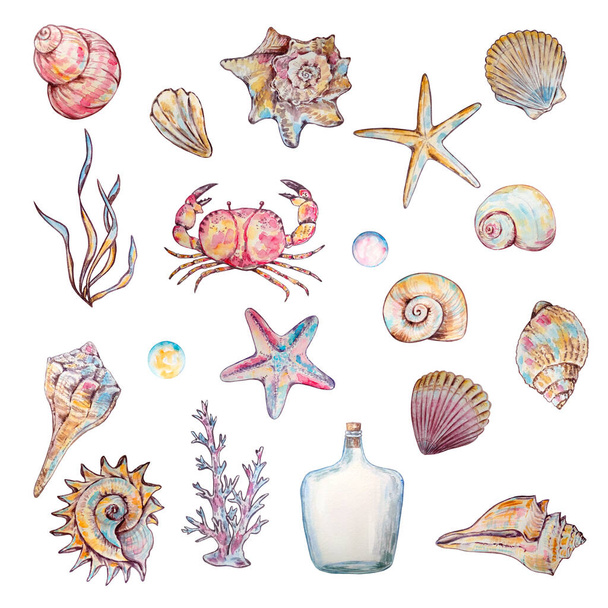 Illustrazione della vita subacquea colorata ad acquerello per design e stampa - Foto, immagini