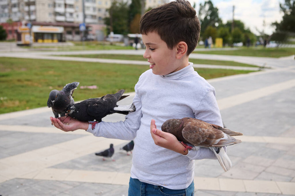 Precioso niño preadolescente feliz, niño caucásico de 10 años, sosteniendo palomas de roca en las manos y alimentándolas con semillas de aves en la plaza del parque. El amor y el cuidado de los animales concepto. Palomas feriales - Foto, imagen